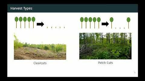 Wildlife in managed forests: demographic patterns and trophic interactions presented by Ken Kellner