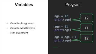Module 1: Introduction to Python | Basics | Monash University