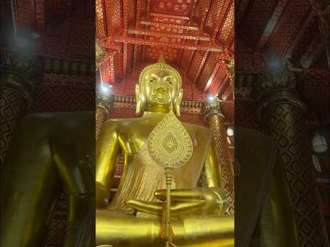 หลวงพ่อโต วัดพนัญเชิง อยุธยา#ไปเที่ยวกับเสือน้อยมังกรน้อย