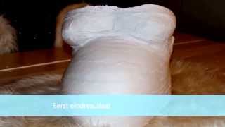 Workshop Gipsafdruk Maken Van Alicias Zwangere Buik Bij Dedikkedames.nl