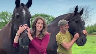 Farm Tour! Explore the farm with Trudy on a Virtual Field Trip