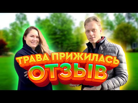 Рулонный газон прижился