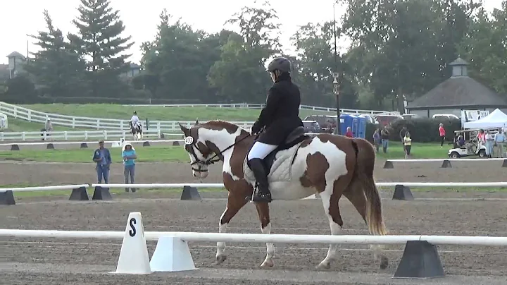 Linda Spraggs & Paint By Nimble, Intro B 9/6/15