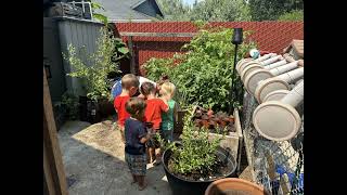 Sowing lifelong habits: Shasta County initiative delivers farm-fresh produce and lessons to toddlers