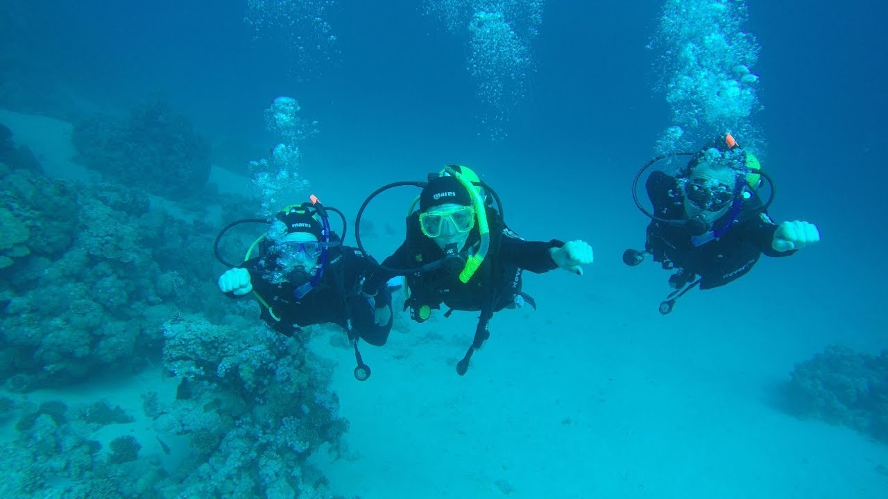 Diving in Marsa Alam, Egypt 2015 YouTube