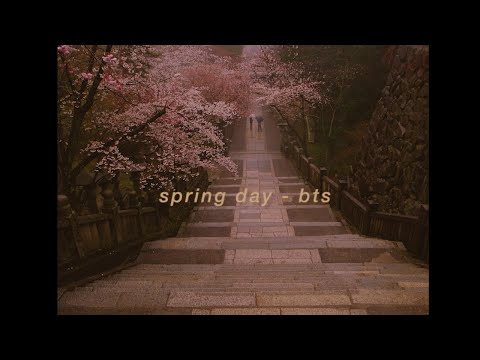"spring day" - bts but years later and you're remembering that one spring day in 2016 [kdrama edit]