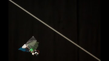 DelFly Nimble - an agile insect-inspired robot