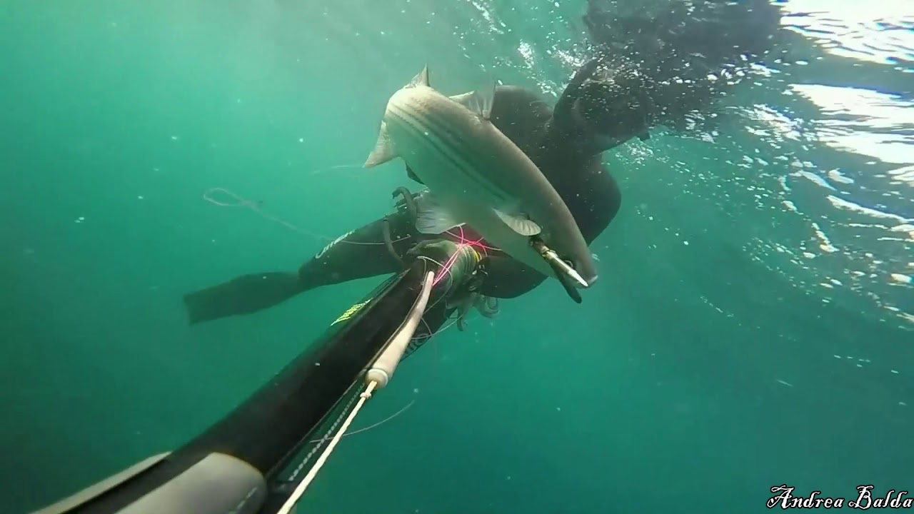 PESCASUB: BASSOFONDO SALENTINO_GoPro HERO4 Silver HD