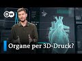 Herz aus dem 3ddrucker revolution fr organspenden  dw shift