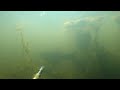 Подводная охота на Кармановском водохранилище 2020. Амуры и Лещи. Трейлер Фильма!