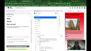 comments in html css checkpoint