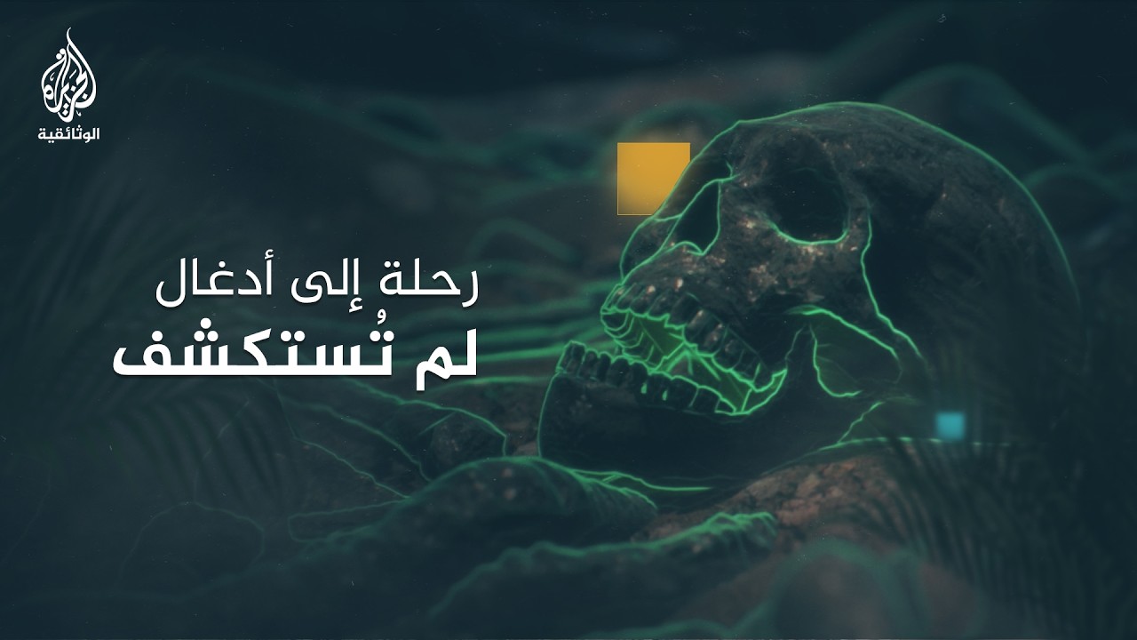 أسرار في قلب الأدغال.. حكايات من عالم خفي (الحلقة الأولى)