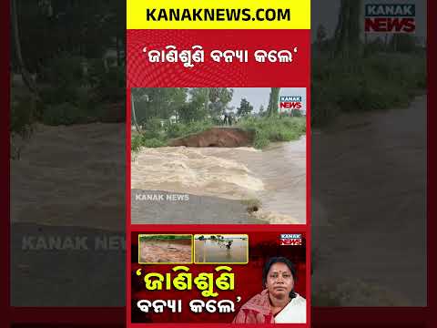 Pramila Mallik Levels Serious Allegations Over Jajpur Flood Embankment Breach
