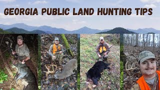 Georgia Public Land Mountain Buck Hunting Tips For Success