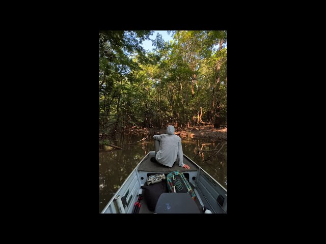 Viva a melhor experiência na Amazônia!