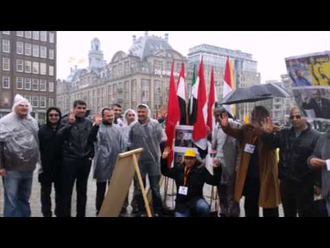 نبض مصريين هولندا ضد العسكر