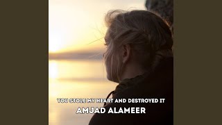 You Stole My Heart and Destroyed It - AMJAD ALAMEER