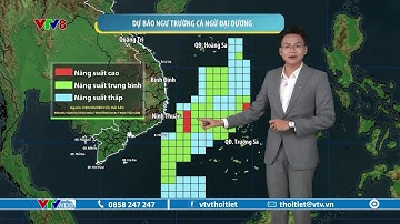 Dự báo thời tiết biển ngày 20/04/2024 | Ngư trường cá ngừ đại dương | VTVWDB