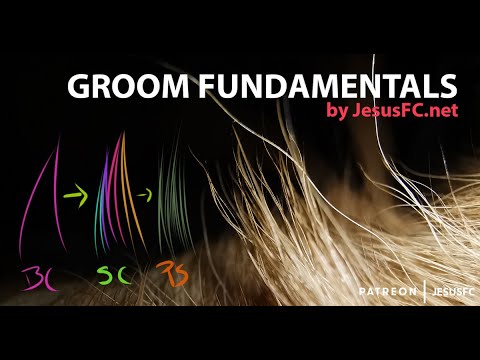 GROOM FUNDAMENTALS: lesson #01 Flow