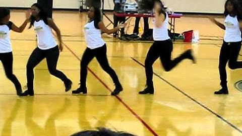 Fall 2010 MSU NPHC Stroll-Off - SGRhos Hype