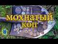 Куча монет и  удивительный зверь! Lots of coins and an amazing beast!