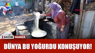 Trumpın Favorisi Yanık Denizli Yoğurdu