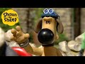 Shaun the Sheep 🐑 Epic Dog - Cartoons for Kids 🐑 Full Episodes Compilation [1 hour]