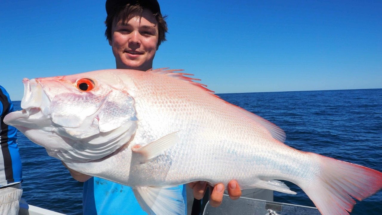 Deep Water Broome Fishing Highlights Broome Makaira Fishing YouTube