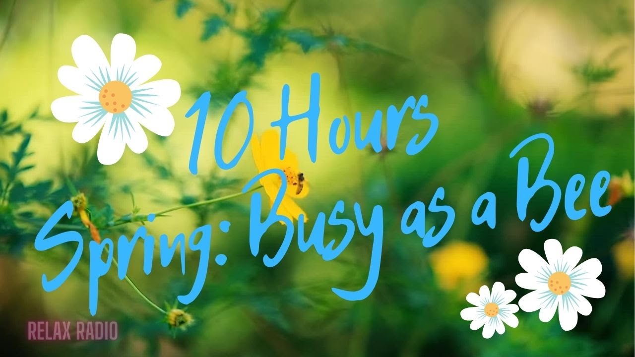RELAX RADIO Busy as a Bee 10 hours Happy Instrumental Music