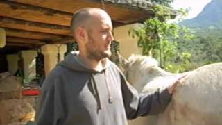 Agri-Punk: Tacking up a Pack Mule Part 2 of 3