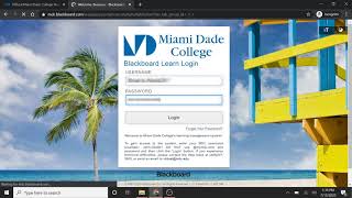 How to log in to MDC Blackboard screenshot 5