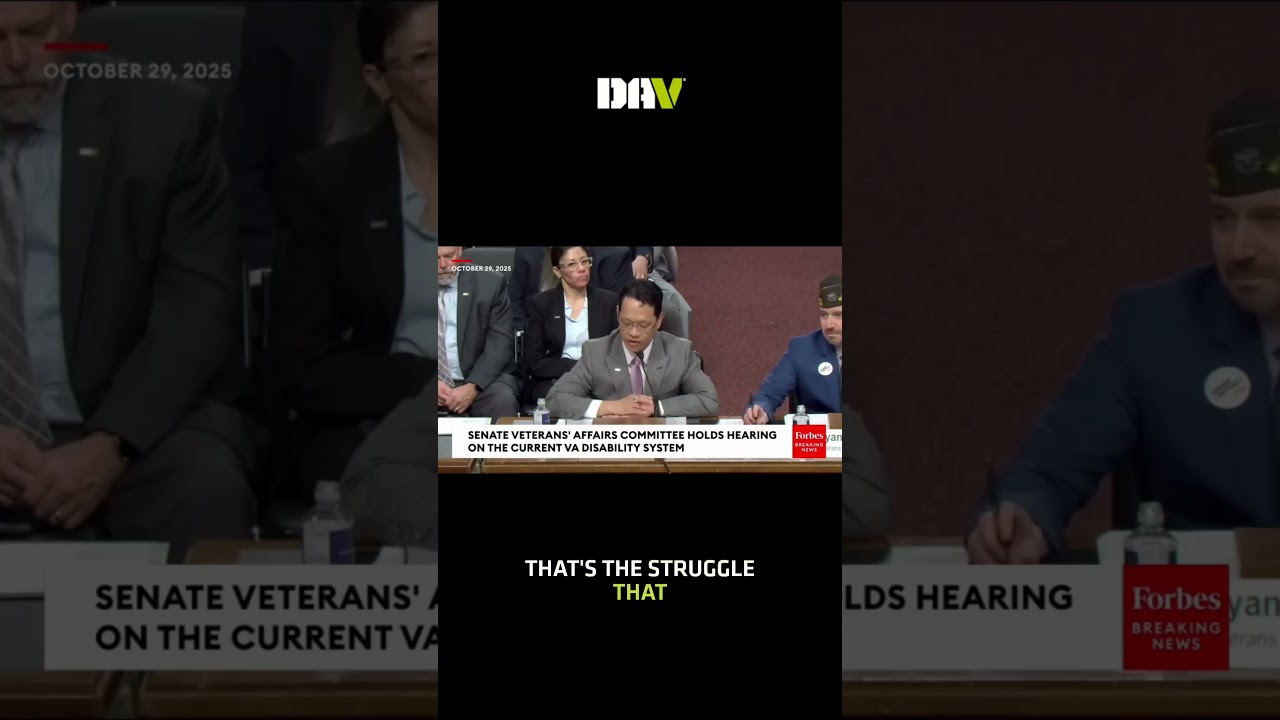 Сенатор Шихи задает вопросы DAV 