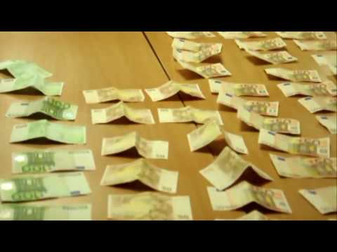 Закарпатські митники навіть з собаки зробили "хабарника"