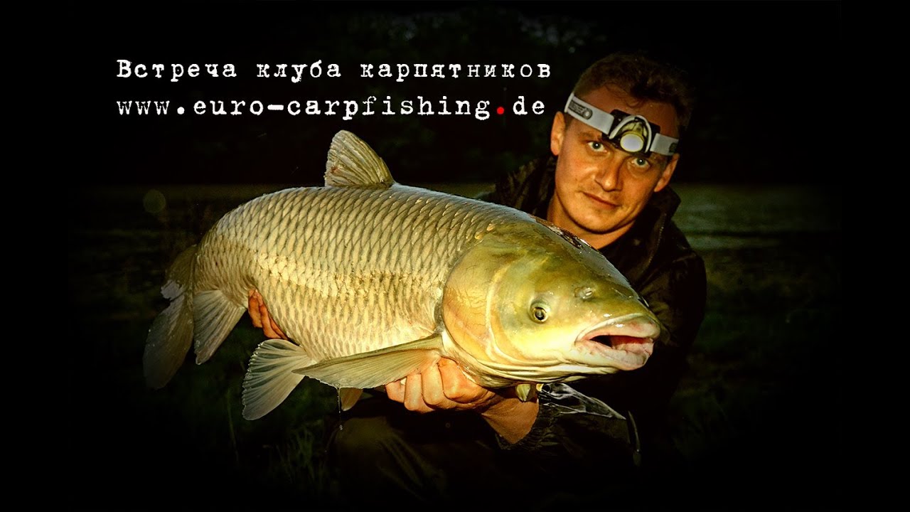 Карп спорт. Карпятник. Евро Карп. Карпфишинг английских фирм.