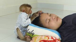 Most Satisfying Monkey Grooming Human ASMR