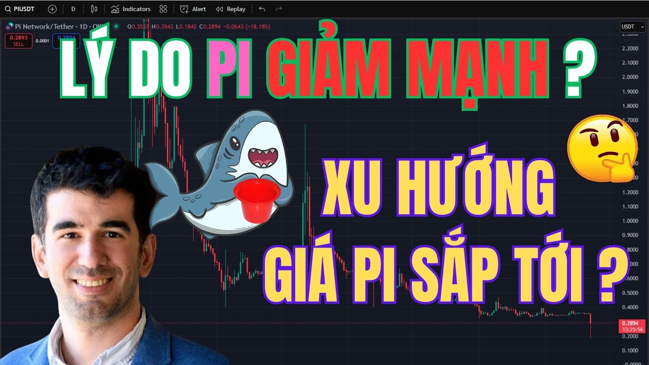 Pinetwork Giá Pi giảm mạnh vì sao nên làm gì sắp tới ?