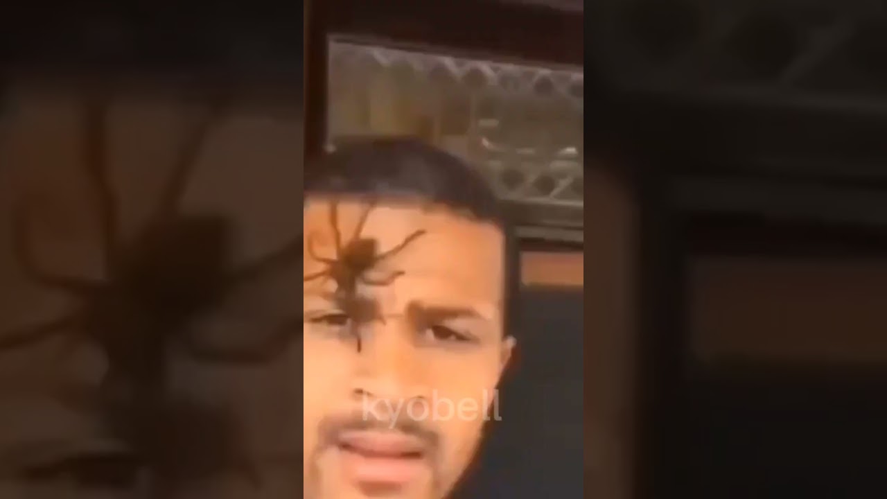 memes I found on discord