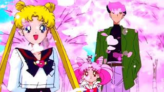 Usagi, Diana, Mamoru and Chibiusa enjoying the sakura 🌸