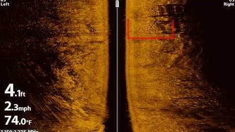 side imaging and dock fish