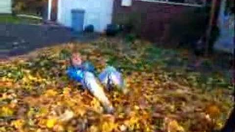 Leaf fight(Melissa vs Linda)