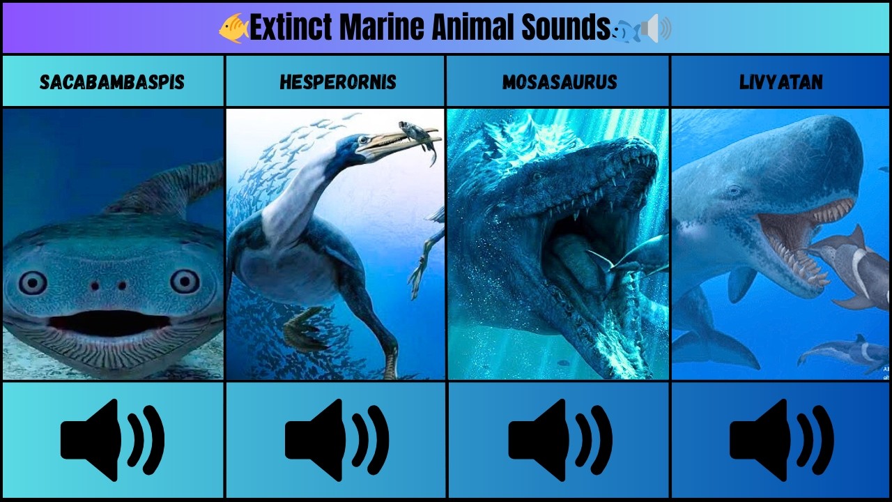 How Extinct Marine Animals Really Sounds Like🐠🔊