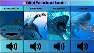 How Extinct Marine Animals Really Sounds Like