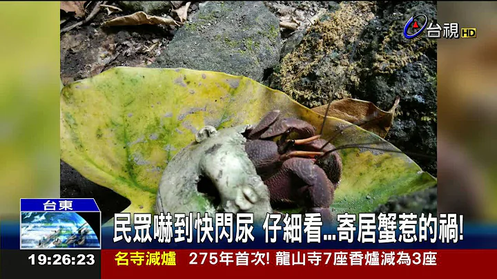 阿飘出没?洋娃娃头自己乱动吓坏游客 - 天天要闻