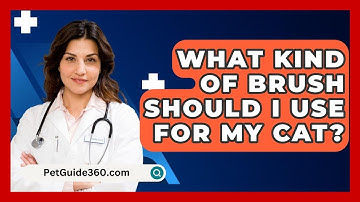 What Kind Of Brush Should I Use For My Cat? - PetGuide360.com