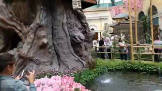 Bellagio Conservatory - April 2016