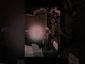 سفارشی از امام جواد علیه السلام سفارشی از امام جواد علیه السلام