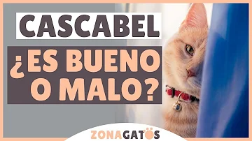 ¿A los gatos les gustan las pelotas con cascabeles?