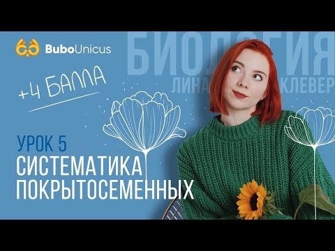 Систематика покрытосеменных | БИОЛОГИЯ ЕГЭ | Лина Клевер