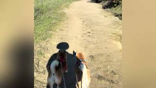 Anza Trail 20260110