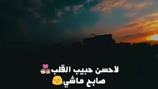 وقولوا لعين 👀الشمس ماتحماشى 😢لأحسن حبيب القلب 💑صابح ماشى😔💔